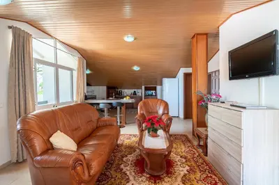 a living room with a leather couch and a tv at Apartment lucy in Arco da Calheta
