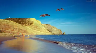 two kites flying in the sky over a beach at LuzBay Pool Apartments in Luz