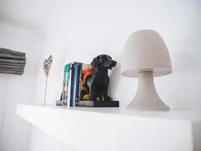a black dog statue sitting on a shelf next to books at Formosa Infinity Pool Apartment in Funchal