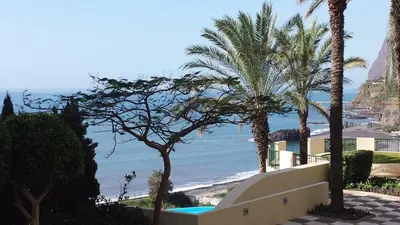 a view of a beach with palm trees and the ocean at Apartment Formosa - Infinity pool in Funchal