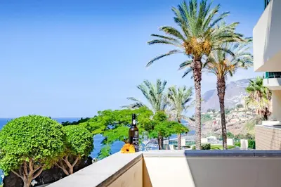 a bottle of wine on the ledge of a balcony with palm trees at Apartment Formosa - Infinity pool in Funchal