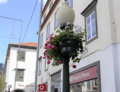 a street light with a flower basket on it at Apartamentos Funchal by Petit Hotels in Funchal