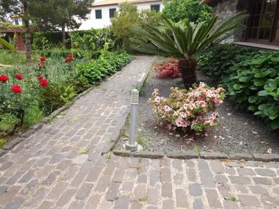 a garden with pink flowers and a tree at Solar Arco de São Jorge in Santana