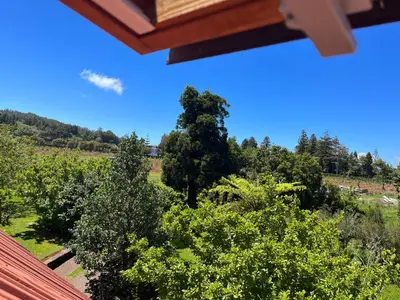 a view from the roof of a house with trees at Bio Quinta do Pantano, Agro Turismo in Santo da Serra