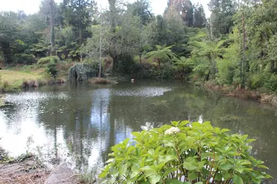 a pond in the middle of a forest at Bio Quinta do Pantano, Agro Turismo in Santo da Serra