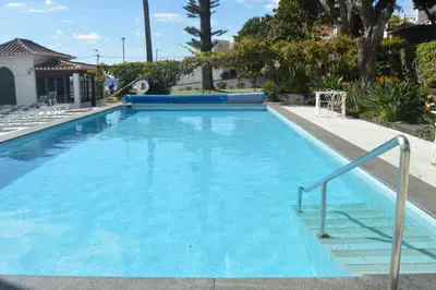 a large swimming pool with blue water at Quinta Da Penha De Franca in Funchal