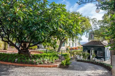 a garden with a tree and a house at ARTS IN Hotel Conde Carvalhal in Funchal