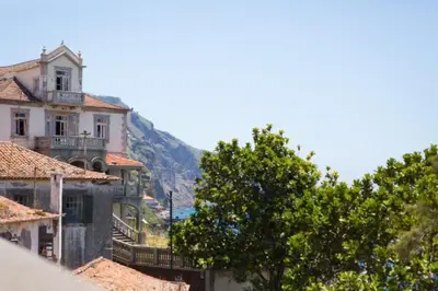 a group of buildings with trees and a mountain at OLD TOWN PENTHOUSE - Barreirinha in Funchal