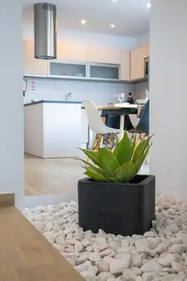 a kitchen and living room with a potted plant at Sunrise Villa in Sagres