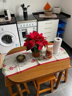 a kitchen with a table with red flowers on it at SLICE OF PONTA DO SOL- GROUND FLOOR- SEA VIEW in Ponta do Sol
