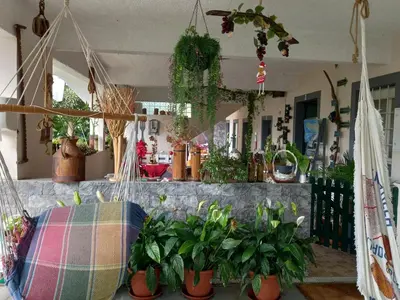 a room with a bunch of potted plants at Tabua Village Madeira in Ribeira Brava