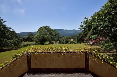 a wall with a bunch of flowers on it at Quinta das Colmeias in Santo da Serra