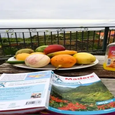 Paraiso das Flores