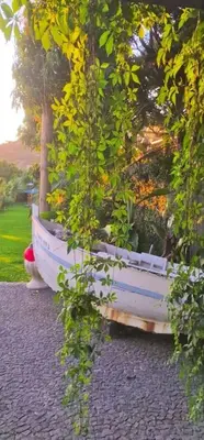 a straw hut with a view of the ocean at Torre Bella Gardens in Arco da Calheta