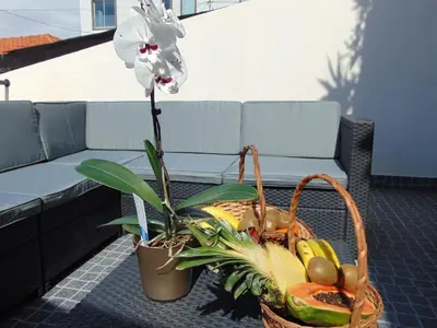 a basket of fruit and a plant on a table at Ocean Dream Apartment- Air Condition in Funchal