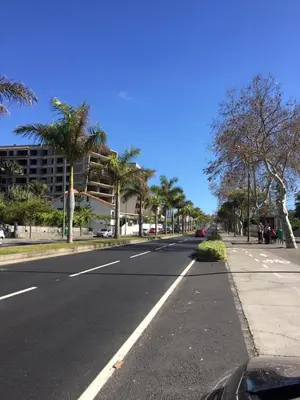 an empty street with palm trees and a building at Ocean Dream Apartment- Air Condition in Funchal