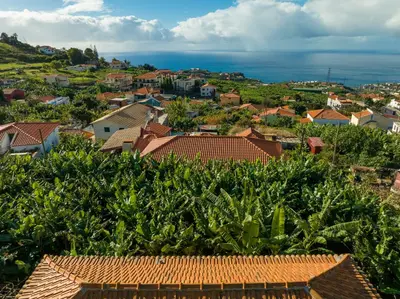 a view of a town with trees and houses at Casa D`Avó Celina in Funchal