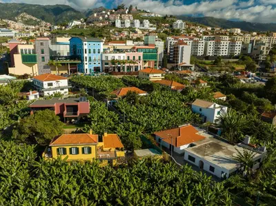 a view of a city with buildings and trees at Casa D`Avó Celina in Funchal