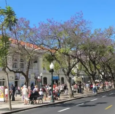 a group of people sitting on benches on a city street at Apartment W Stunning View - MARINA - Free Parking & AC in Funchal