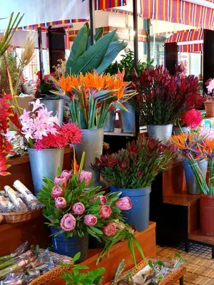 a bunch of flowers in buckets in a market at Agnelo Comfort - Accommodation H V in Funchal