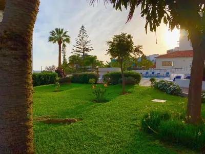 a view of a yard with palm trees at Black & White by Homie in Funchal