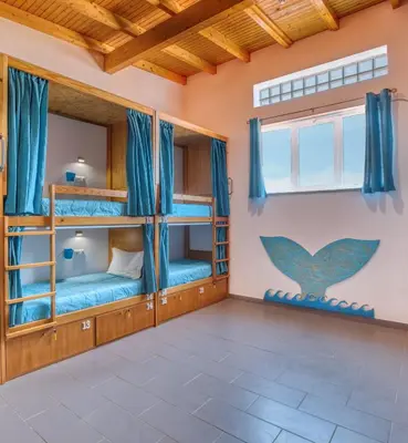 a bedroom with bunk beds in a house at Sagres Sun Stay - Surf Camp & Hostel in Sagres