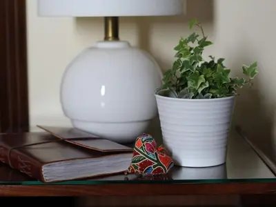 a table with a plant and a lamp and a book at Casa dos Serrões in Calheta