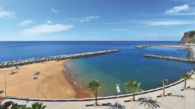 a view of a beach with palm trees and the ocean at Casa dos Serrões in Calheta