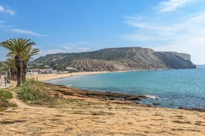 a beach with a palm tree and a mountain at FLH Praia da Luz Apartment with Balcony in Luz