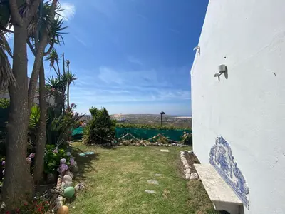 a yard with a tree and a white wall at Casa do Miradouro in Carrapateira