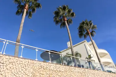 a group of palm trees in front of a building at Lagos Vila Mós 59 in Lagos