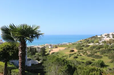 a palm tree on a hill next to the ocean at Lagos Beach 59A in Lagos