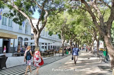 a group of people walking down a street with trees at OurMadeira - Heart of Old Town II in Funchal