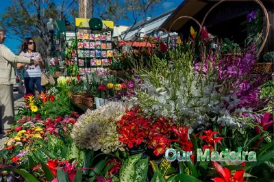 a woman standing next to a display of flowers at a market at OurMadeira - Heart of Old Town II in Funchal