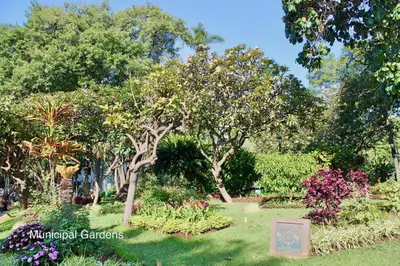 a garden with trees and flowers in a park at OurMadeira - Heart of Old Town II in Funchal