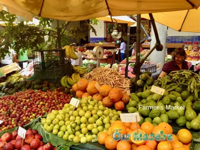 a market with many different fruits and vegetables on display at OurMadeira - Heart of Old Town II in Funchal