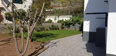 a view of a garden with a tree at Casa da Lagoa in Calheta