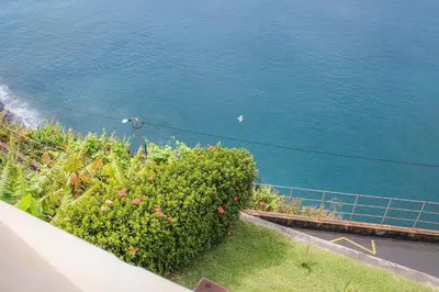 a view of the water from a balcony with a bush at The Best Atlantic Ocean View in Câmara de Lobos