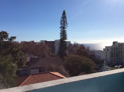 a tall tree sitting on top of a roof at CHARMING LIDO FLAT II in Funchal