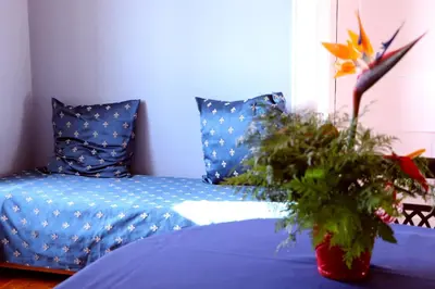 a blue couch sitting in a room with a plant at Casa Charmosa in Funchal