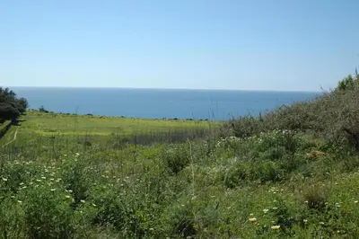 a field of grass with the ocean in the background at Cantinho do Burgau in Burgau
