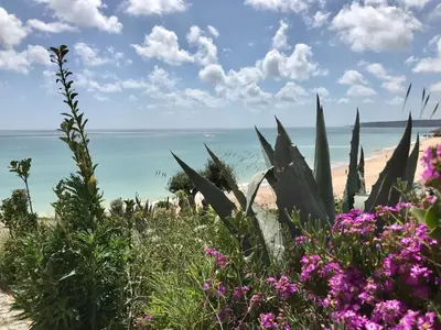 a view of the beach and the ocean with flowers at Beachhouse Algarve, Beach 50m in Salema