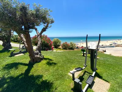 a park with a tree and the ocean in the background at Beachhouse Algarve, Beach 50m in Salema
