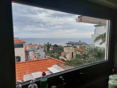 a palm tree with a nest on top of it at Casa Pico Musica in Funchal