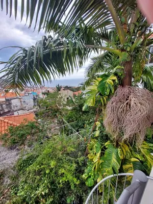 a living room with a large window and a room with a couch at Casa Pico Musica in Funchal