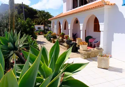 a courtyard of a house with plants in front of it at Theresia's in Porto Santo