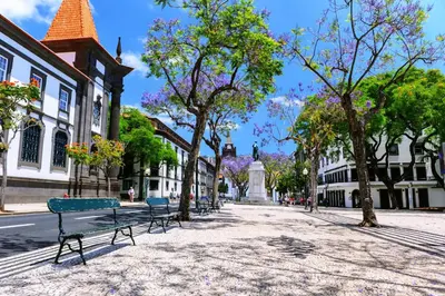 a bench on a city street with trees and buildings at Stylish apartment with balcony and amazing views over Funchal and the sea in Funchal