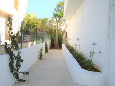 a hallway of a white building with plants at Belinha Guest House in Luz