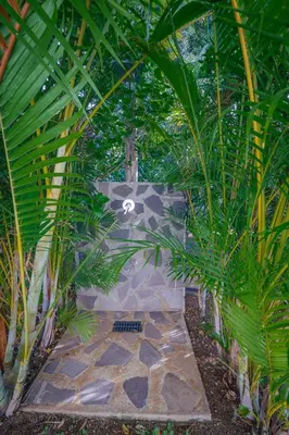a garden with a stone pathway with palm trees at Casa Maravilha II in Caniço