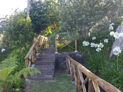 a wooden stairway in a garden with flowers at Ponte House in Porto Moniz
